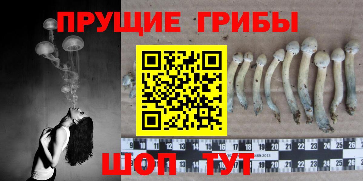 COCAIN  Меф МЯУ МЯУ   Тосно  MDMA  А ПВП СК   МЕФ  Вход с VPN  Магазины продажи наркотиков  Гашиш 